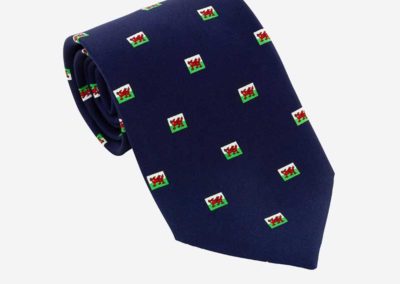 Rolled Printed Tie Sample