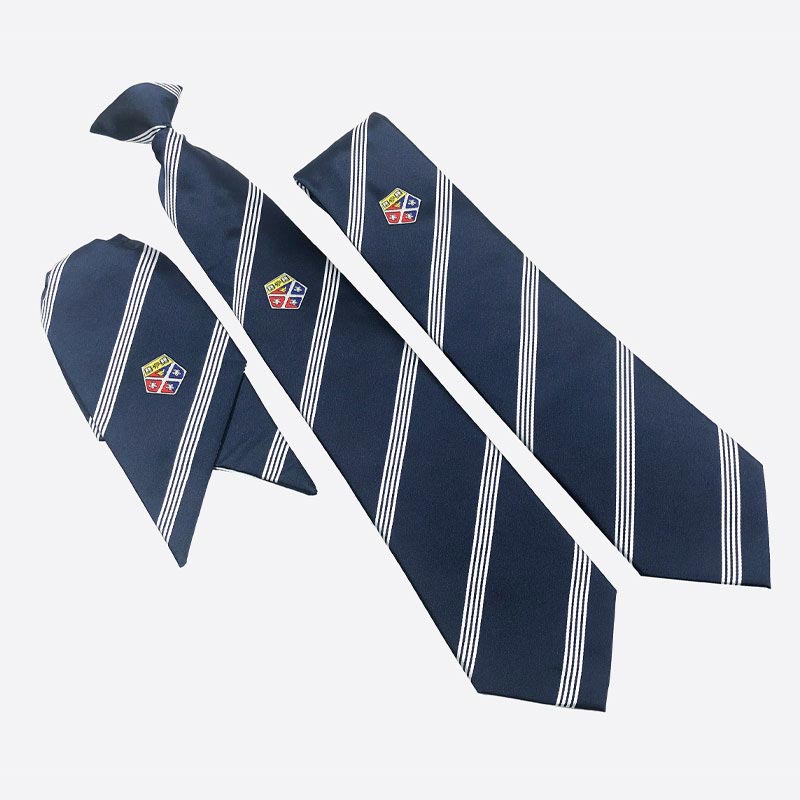 Strathclyde Security set of matching clip-on and standard Corporate Ties and Cravat